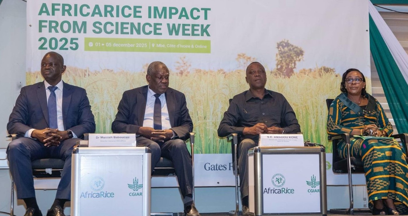 SEMAINE SCIENTIFIQUE AFRICARICE : BABOUCARR MANNEH « IL FAUT RENFORCER LES STRUCTURES DE RECHERCHE ET DÉVELOPPER DES TECHNOLOGIES ADAPTÉES »