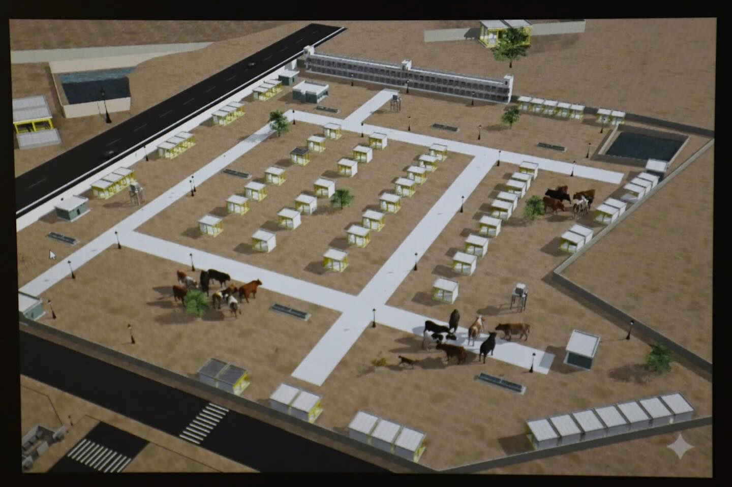 SENEGAL - MODERNISATION DU FOIRAIL DE DIAMAGUÈNE SICAP MBAO : UN NOUVEAU SOUFFLE POUR L’ÉLEVAGE SÉNÉGALAIS