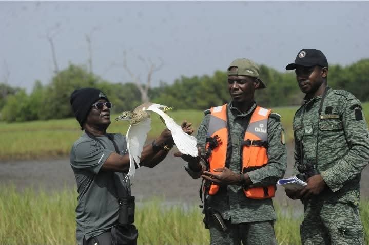 CÔTE D’IVOIRE : LANCEMENT DU DÉNOMBREMENT INTERNATIONAL DES OISEAUX D'EAU POUR ÉVALUER LA SANTÉ DES ZONES HUMIDES