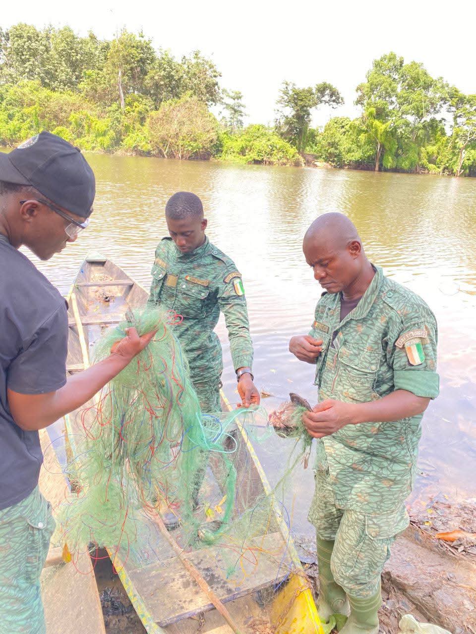 CÔTE D'IVOIRE / CAVALLY-  PROTECTION DE LA  FAUNE AQUATIQUE : UNE OPÉRATION DE DÉMANTÈLEMENT RÉUSSIE À GUIGLO
