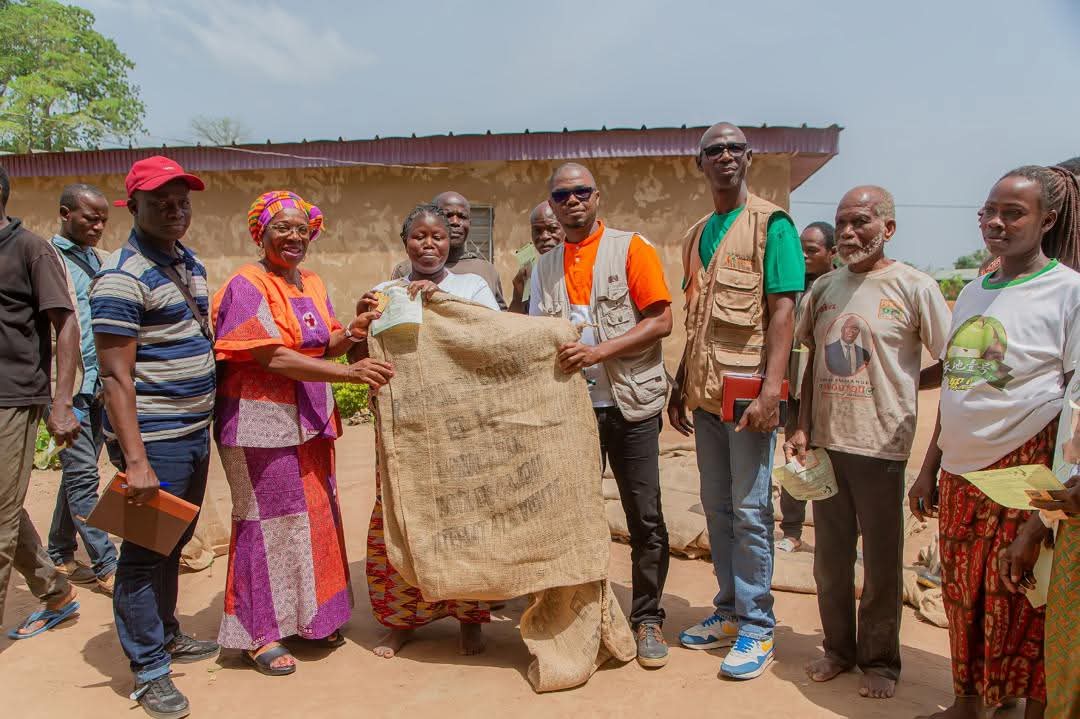 CÔTE D’IVOIRE – FILIÈRE ANACARDE: UNE BONNE SACHERIE PRÉSERVE LA QUALITÉ DES NOIX BRUTES DE CAJOU