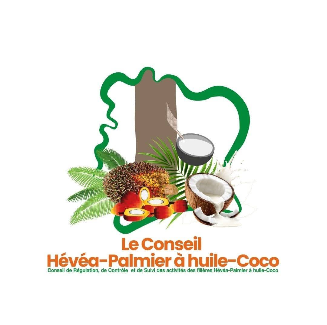 Côte d’Ivoire : le Conseil Hévéa-Palmier à huile-Coco institue une ristourne coopérative et un différentiel transport dans la filière hévéa
