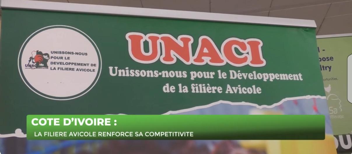 COTE D'IVOIRE- LA FILERE AVICOLE RENFORCE SA COMPETITIVITE A BOUAKE