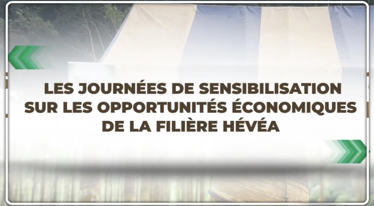 Les journées de sensibilisation sur les opportunités de la filière hévéa en Côte d'Ivoire
