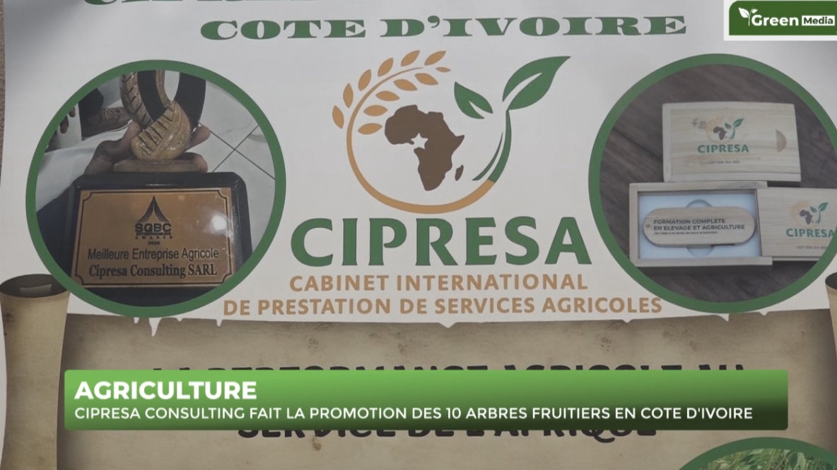 CIPRESA CONSULTING FAIT LA PROMOTION DES 10 ARBRES FRUITIERS EN CÔTE D'IVOIRE