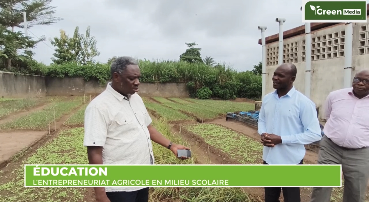 CÔTE D'IVOIRE - ENTREPRENARIAT AGRICOLE EN MILIEU SCOLAIRE